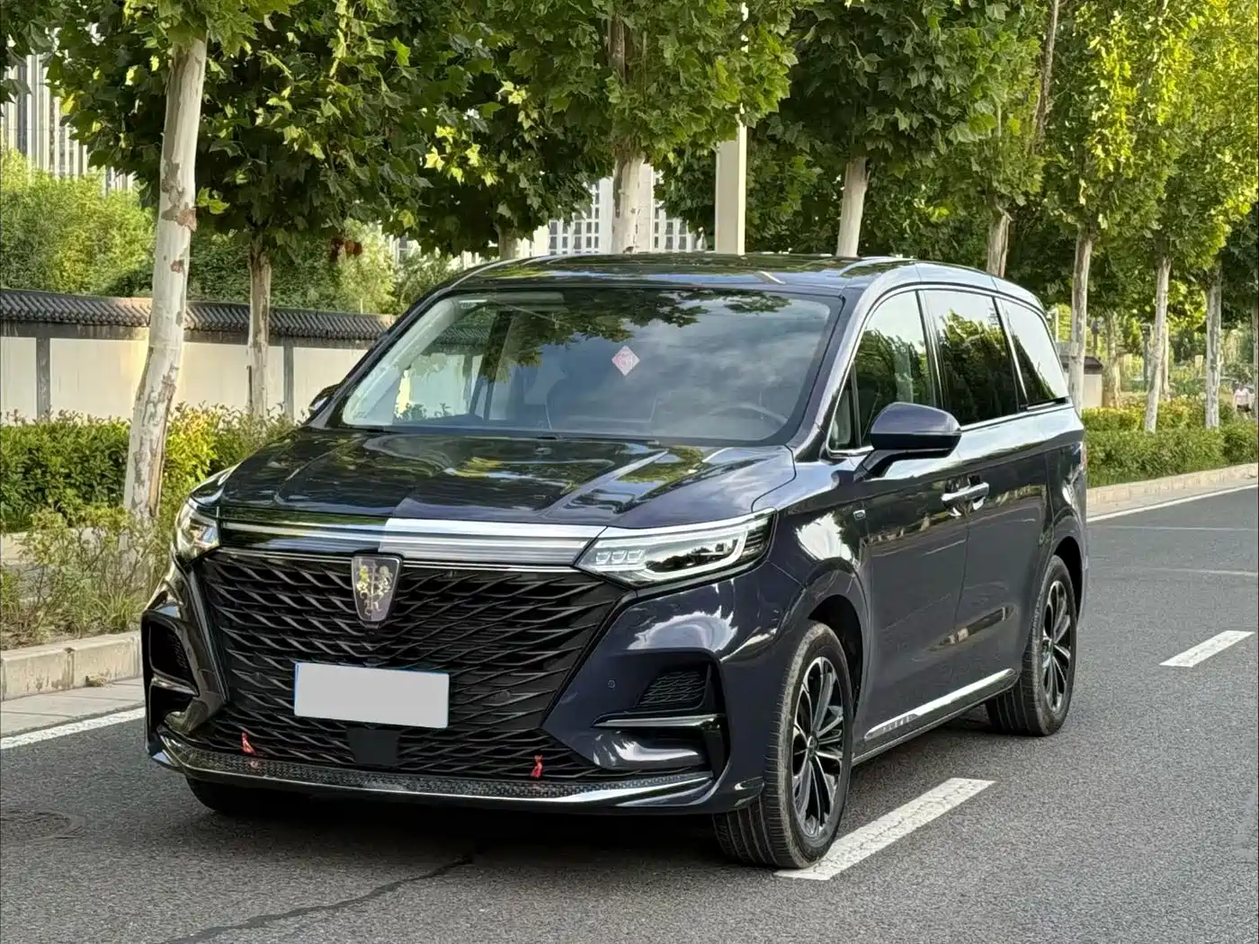 Roewe iMAX8 2023 2021 400TGI Flagship