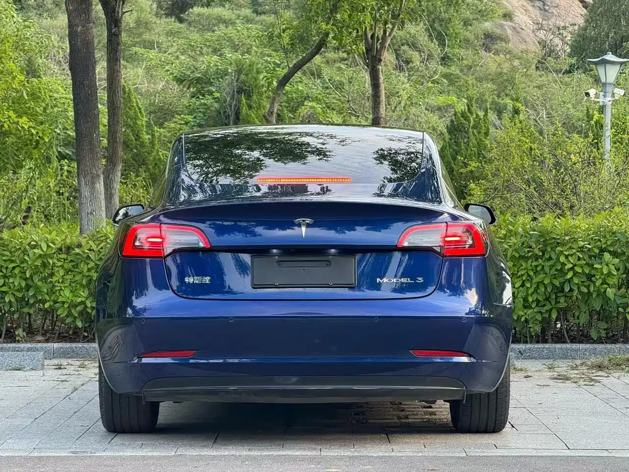 Tesla Model 3 2020 2019 Standard Range Rear-Wheel Drive Upgrade
