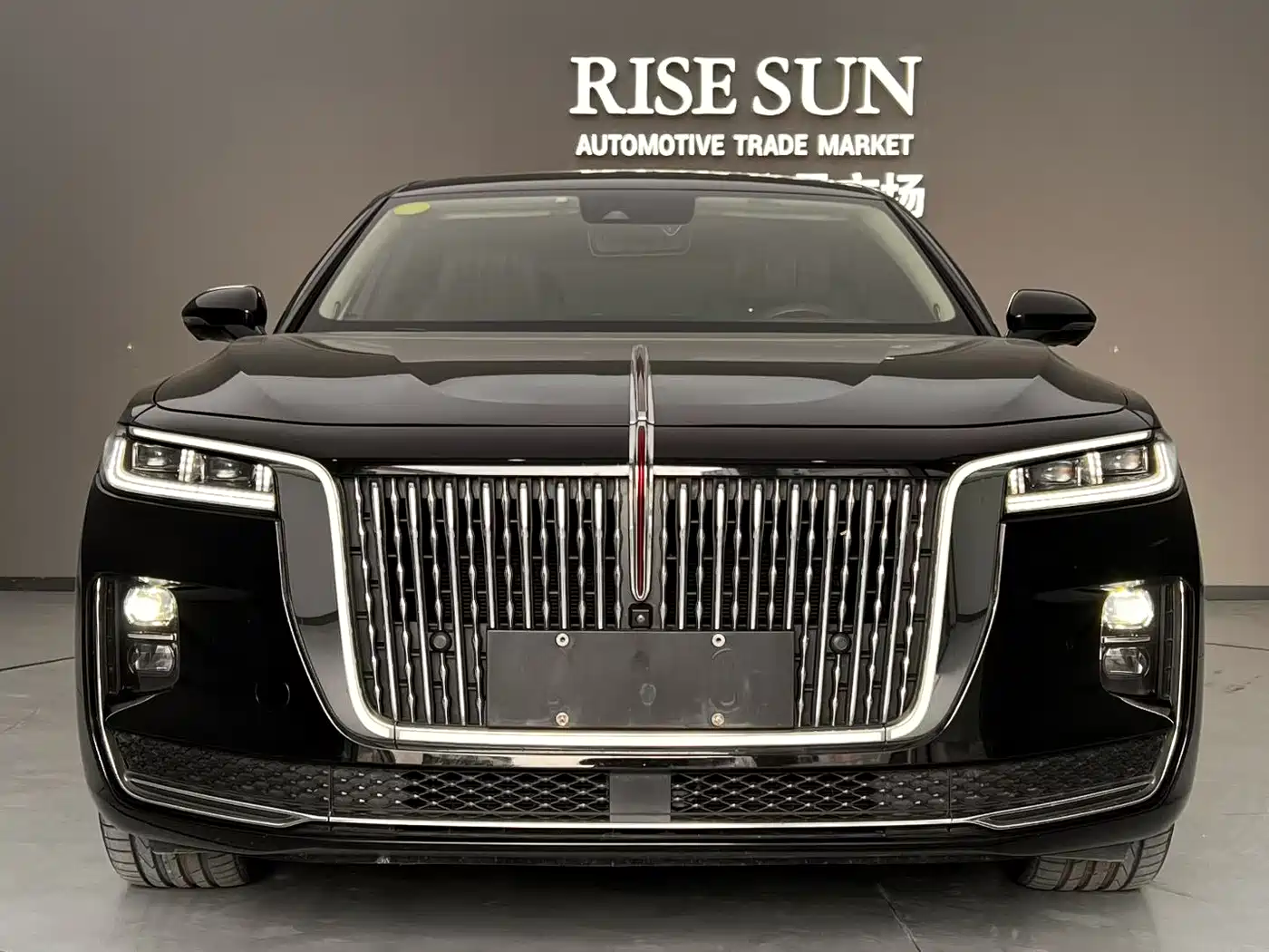 Hongqi H9 2020 Facelift 3.0T Smart Connect Flagship фото 2