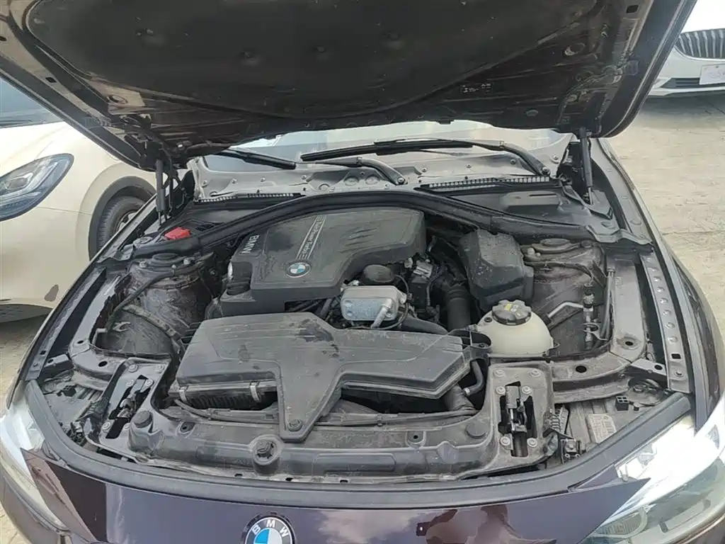 BMW 3 Series 2016 320Li Progressive фото 20