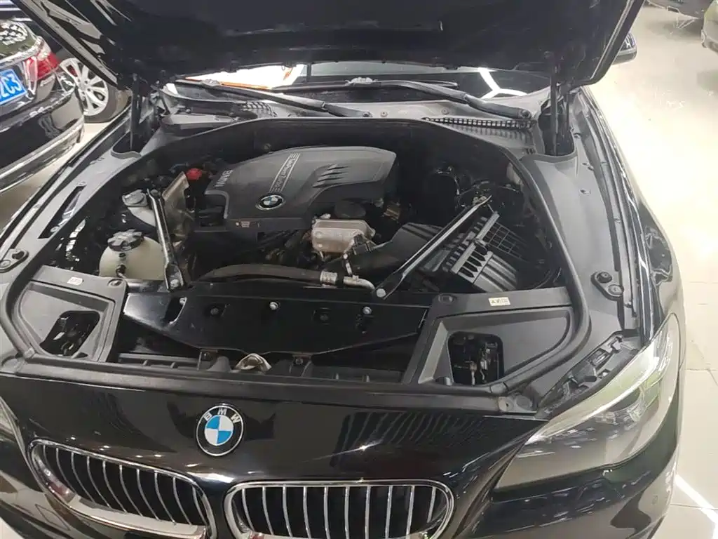 BMW 5 Series (Import) 2015 520i Elegance фото 20