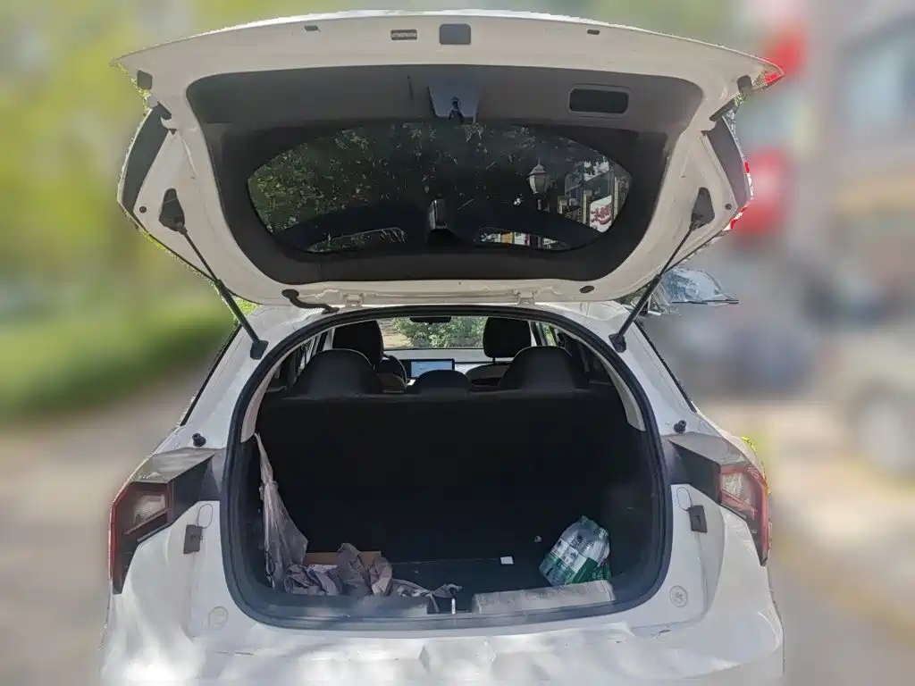 Photo 15 - Geely Geometry E Firefly