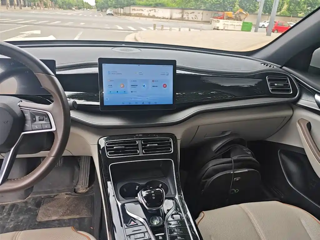 BYD Qin PLUS 2023 Champion Edition DM-i 120KM Leading Type фото 13