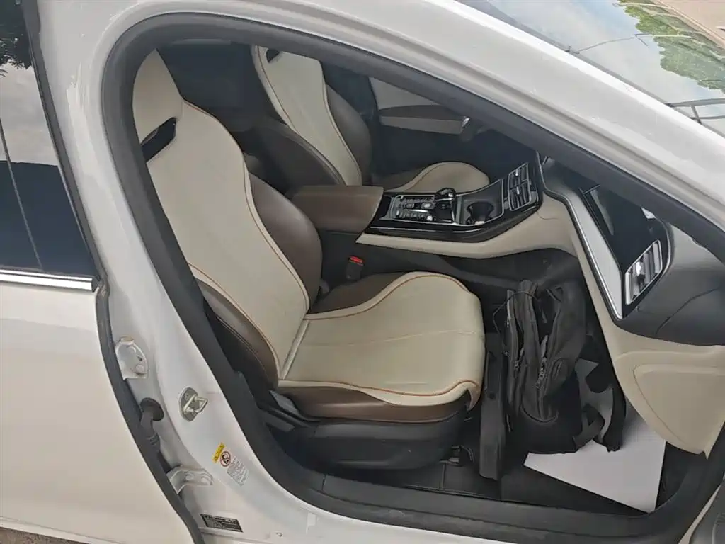BYD Qin PLUS 2023 Champion Edition DM-i 120KM Leading Type фото 25