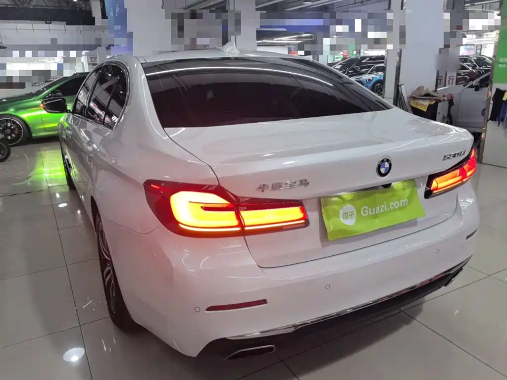 BMW 5 Series 2021 530Li Leading Luxury Package фото 5