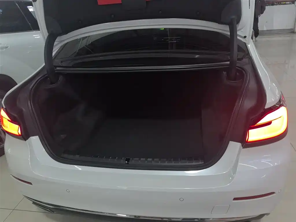 BMW 5 Series 2021 530Li Leading Luxury Package фото 19