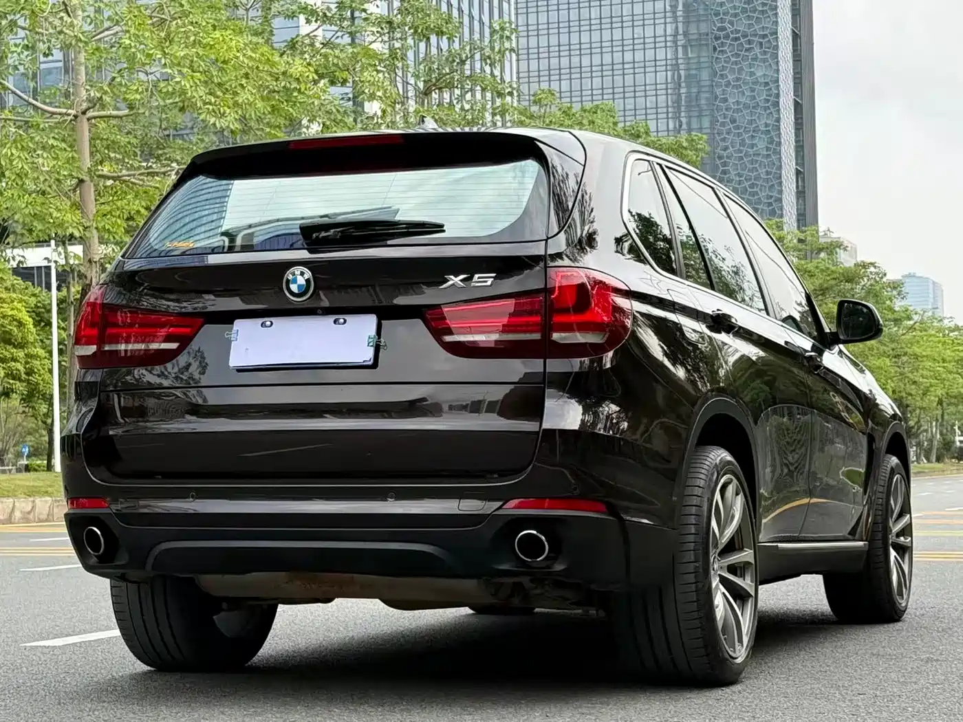 BMW X5 (Import) 2017 xDrive35i Leading Edition фото 19