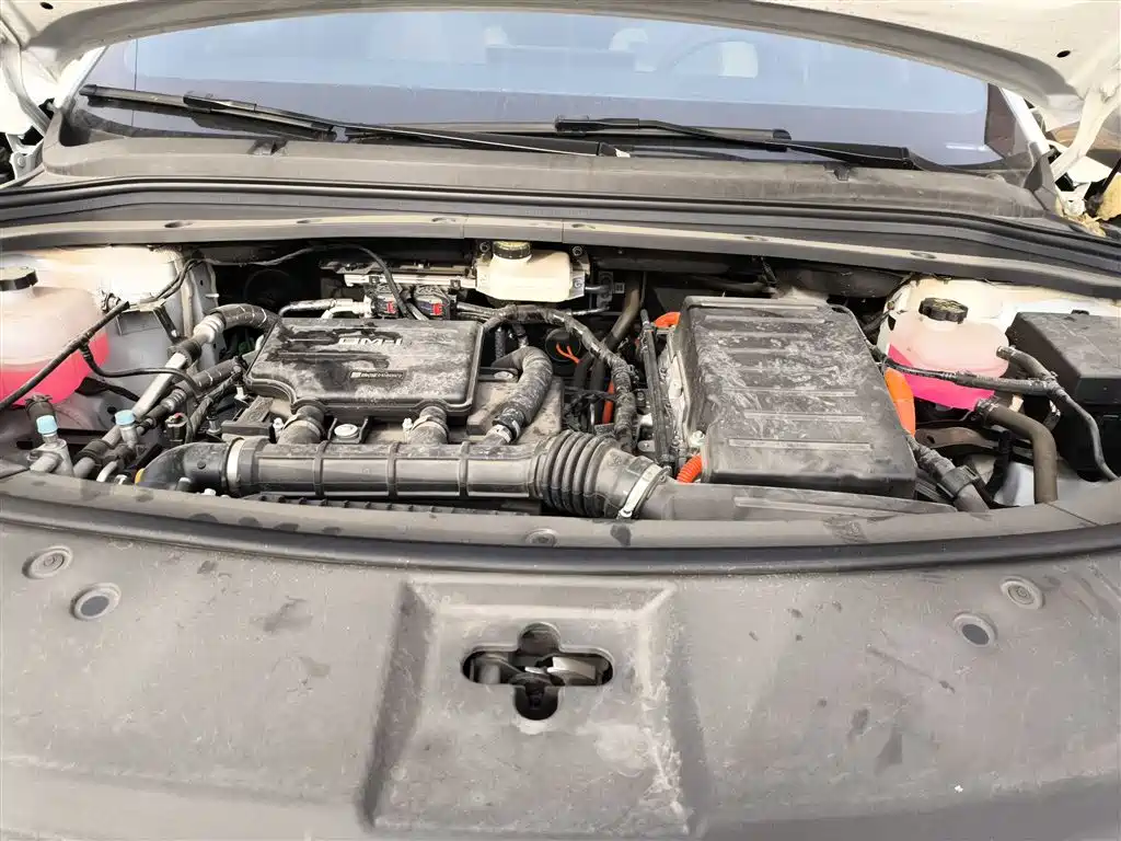 BYD Song L DM-i 2024 112km Leading Edition фото 20