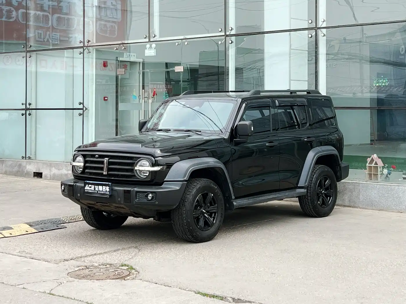 Tank 300 2021 Off-road Version 2.0T Conqueror