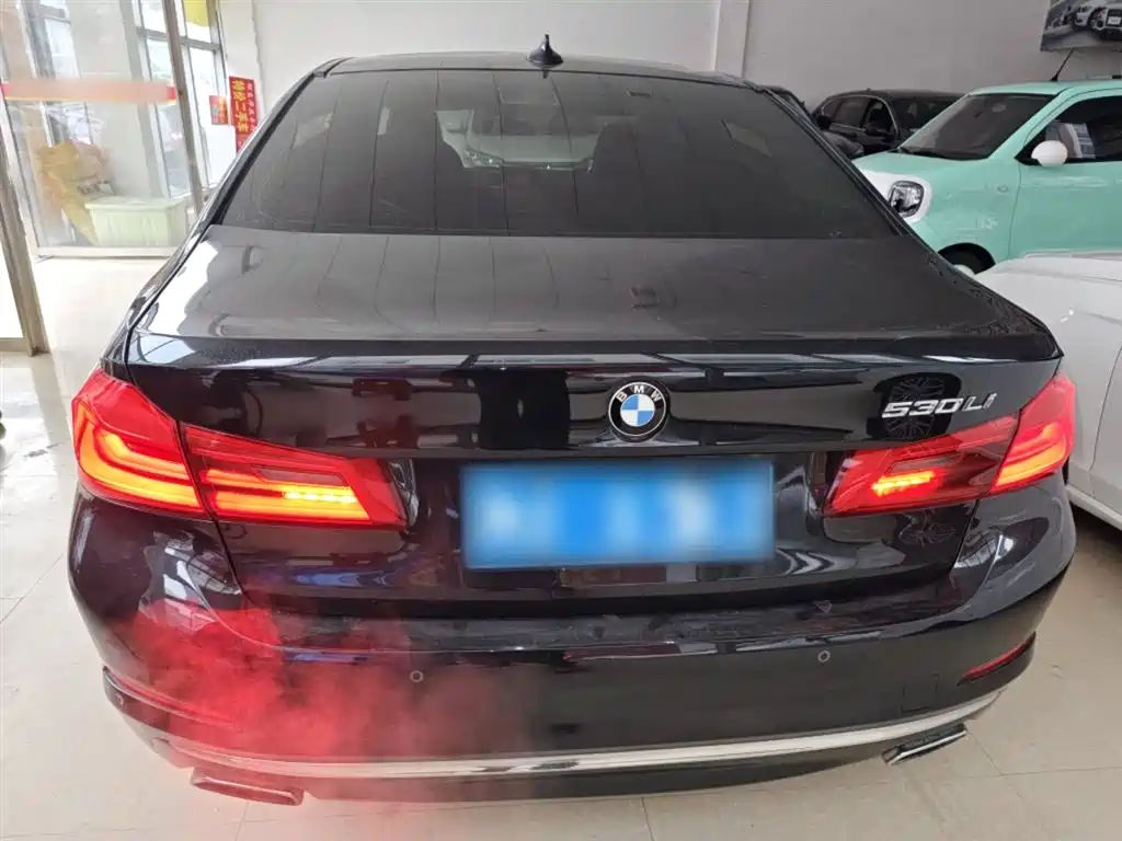 BMW 5 Series 2018 530Li Exclusive Luxury Package фото 6