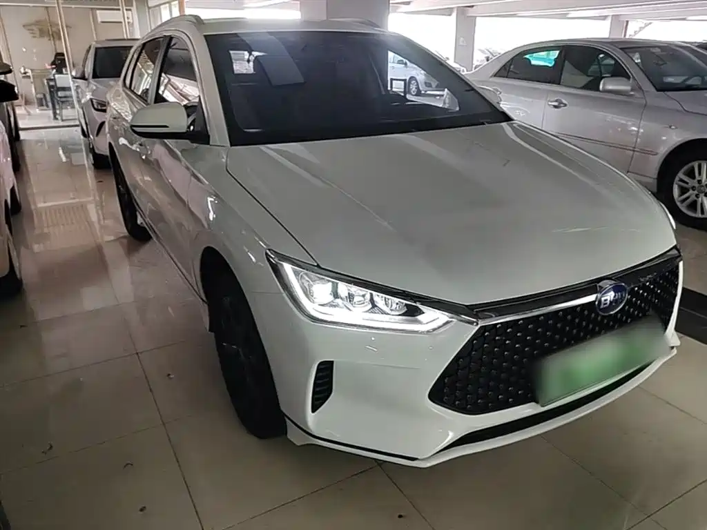 BYD e2 2021 Luxury Edition фото 4