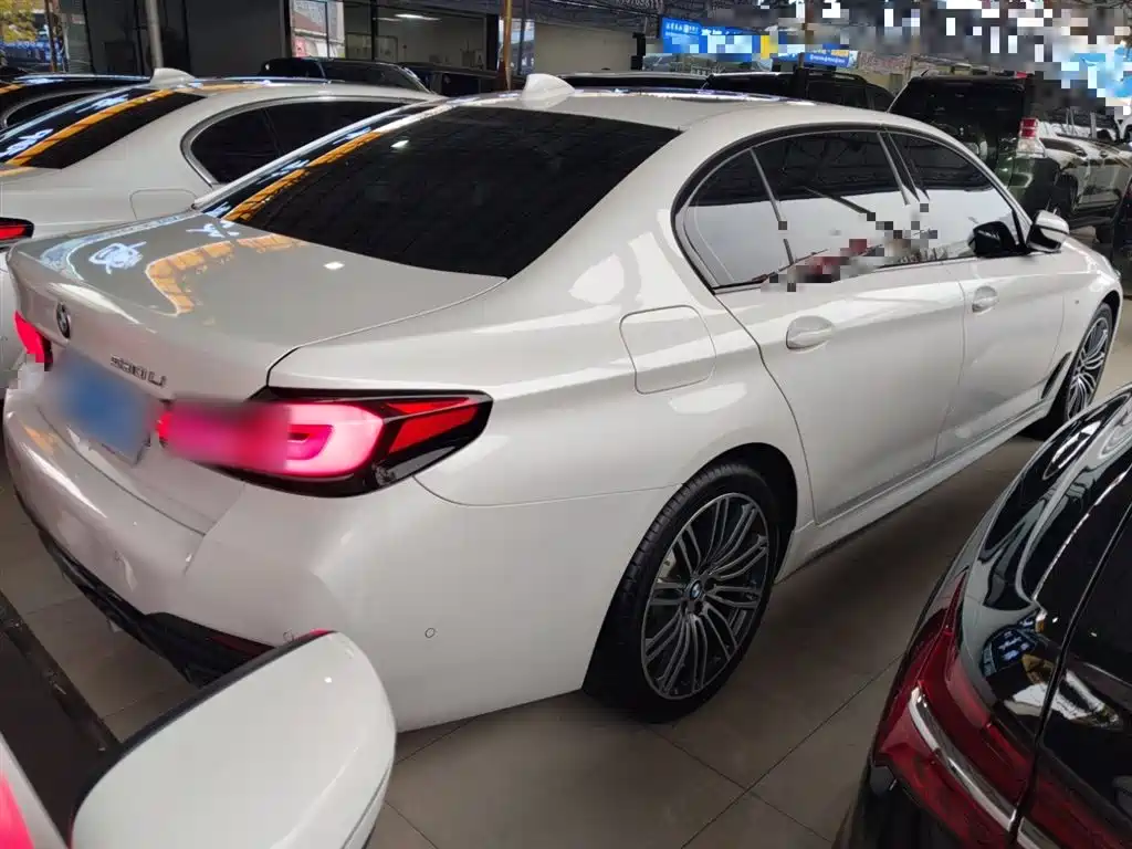 BMW 5 Series 2019 530Li Leading M Sport Package фото 5