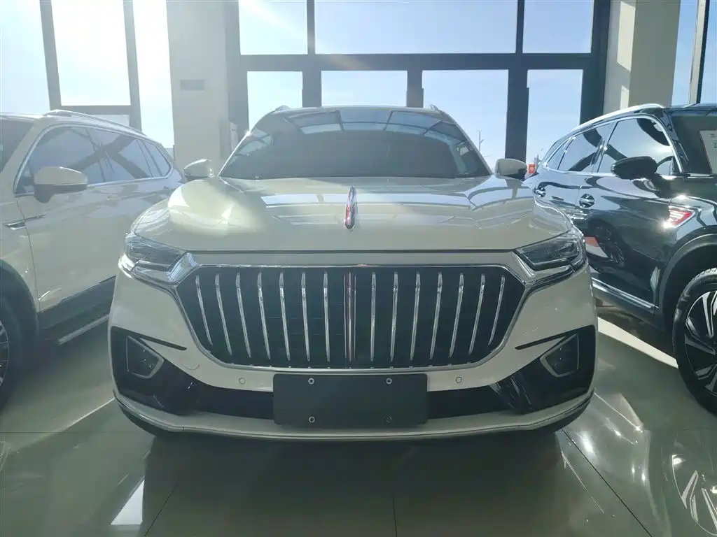 Hongqi HS5 2019 2.0T Smart Connect Enjoy 4WD Edition фото 3
