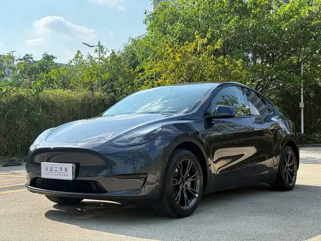 Tesla Model Y Задний привод