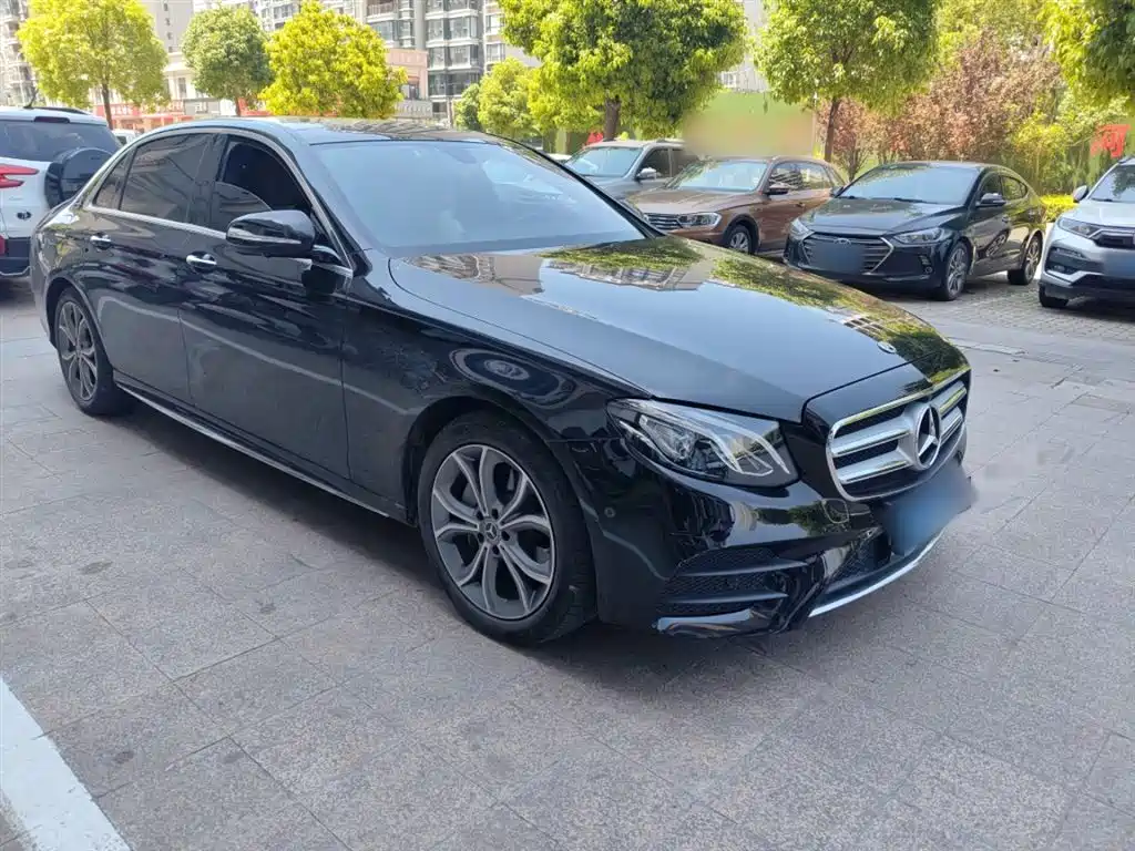 Mercedes-Benz E-Class 2020 E 300 L Sport Luxury Model фото 6
