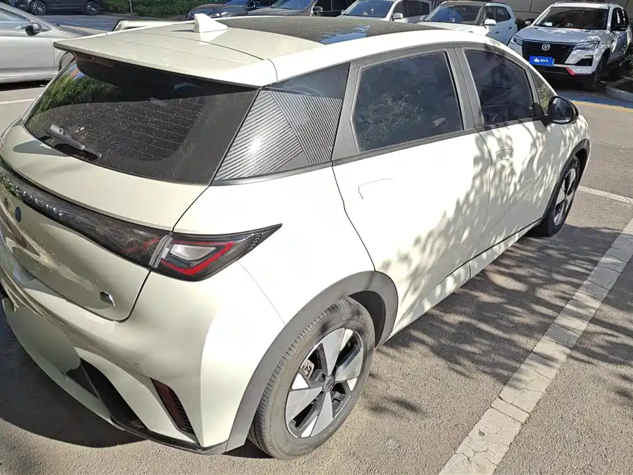 BYD Dolphin 2023 420km Fashion Edition фото 3
