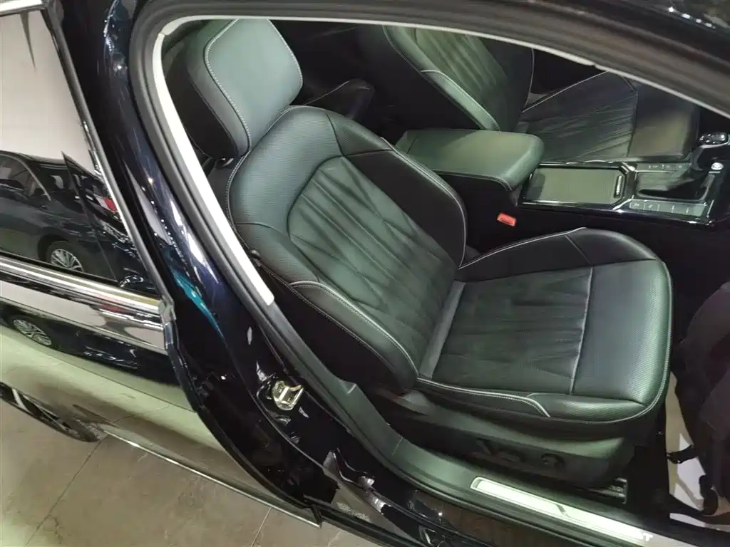 Volkswagen Passat 2023 330TSI Starlight Luxury Edition фото 25