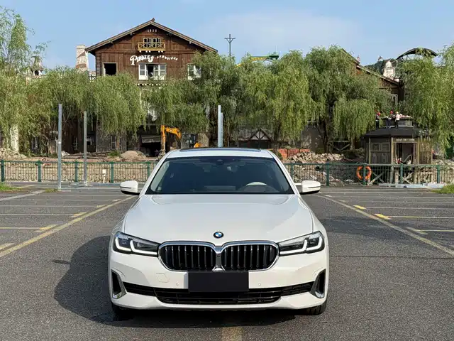 BMW 5 Series 2021 530Li Executive Luxury Package — фото 3