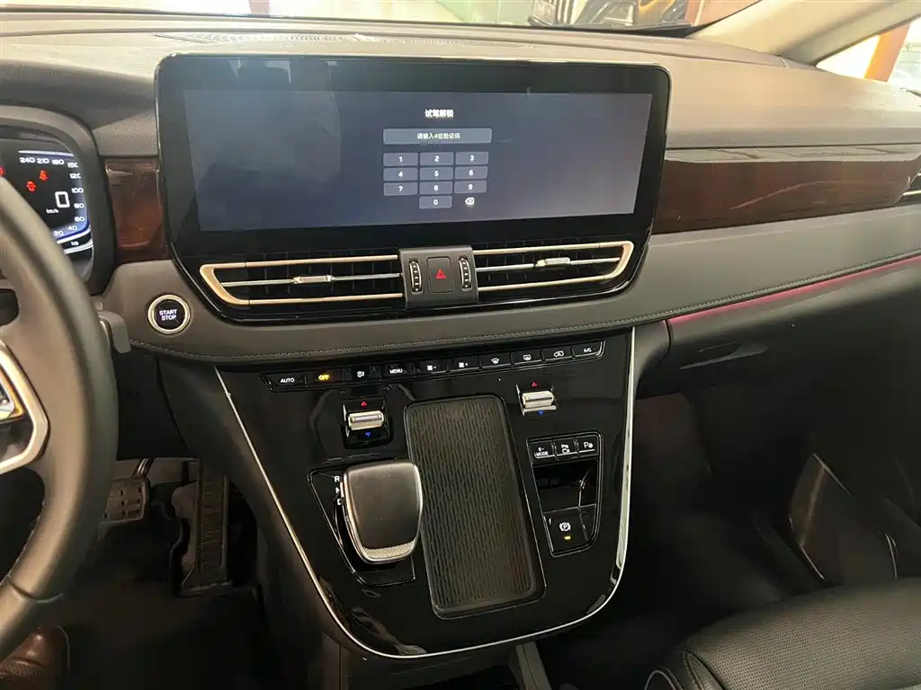 Hongqi HQ9 PHEV 2024 Model 2.0T AWD Luxury Edition фото 4