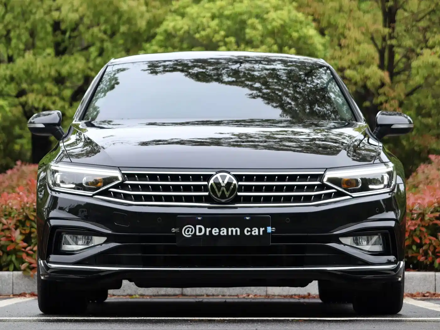 Volkswagen Magotan 2024 2 Million Units Public Sharing Edition 330TSI DSG Luxury фото 2