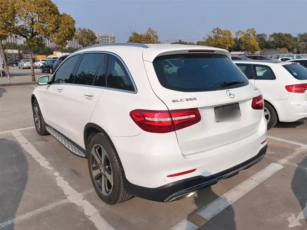 Mercedes-Benz GLC 2017 GLC 260 4MATIC Luxury фото 22