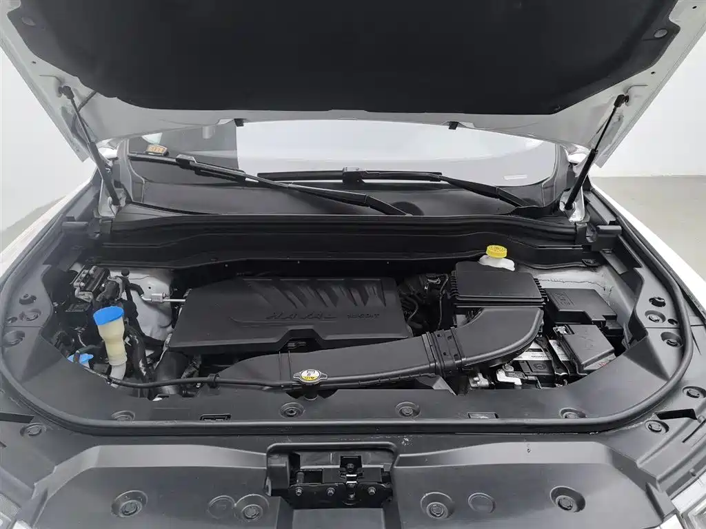 Haval H6 2019 1.5GDIT Automatic Champion Edition China V фото 6