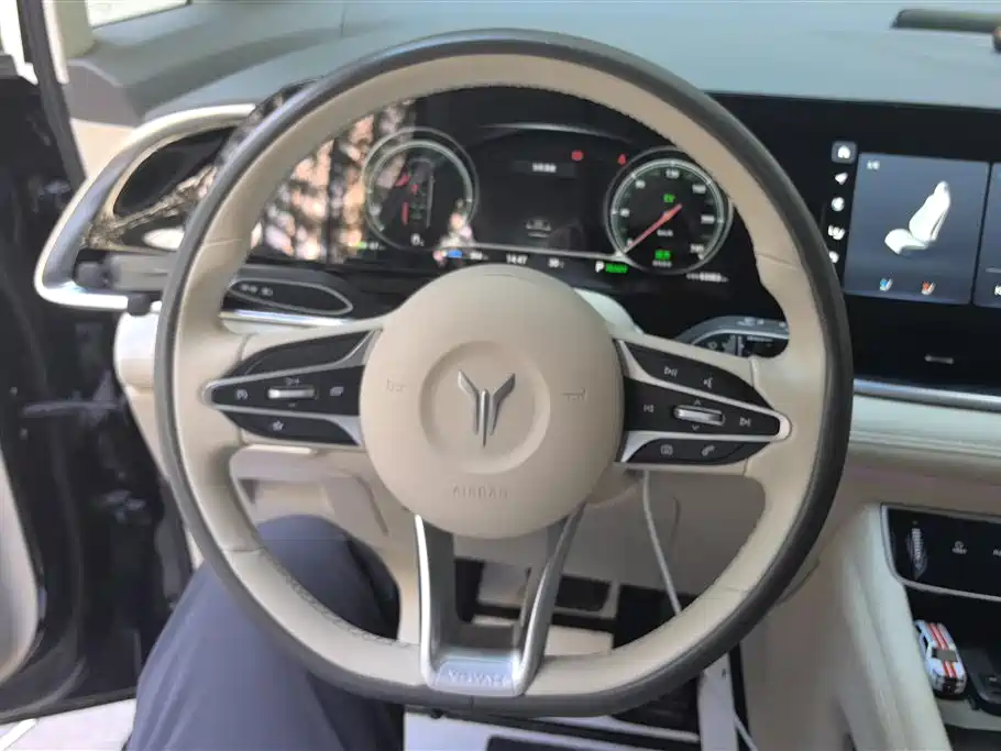 Voyah Auto Voyah Dreamer 2022 Low Carbon Edition Home фото 15