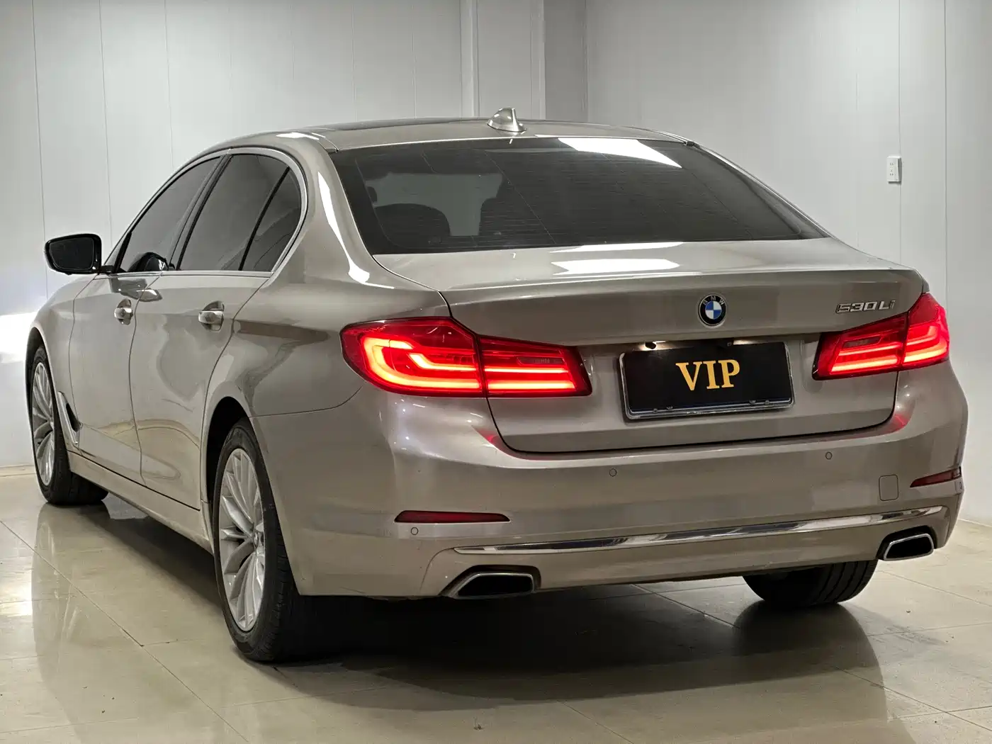 BMW 5 Series 2020 530Li Leading Luxury Package фото 13