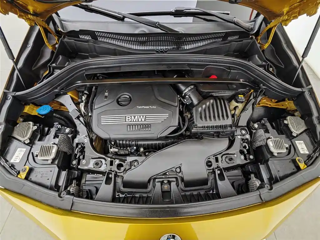 BMW X2 (Import) 2019 sDrive20i M Off-Road Package China VI фото 6