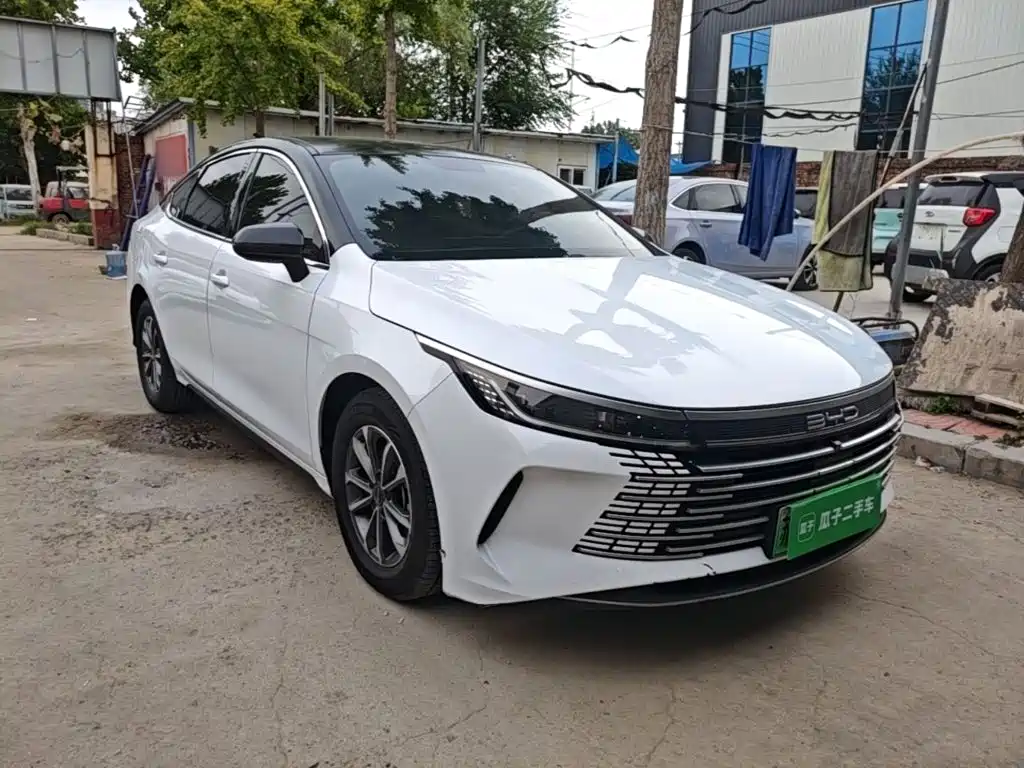 صورة 4 - BYD Destroyer 05
