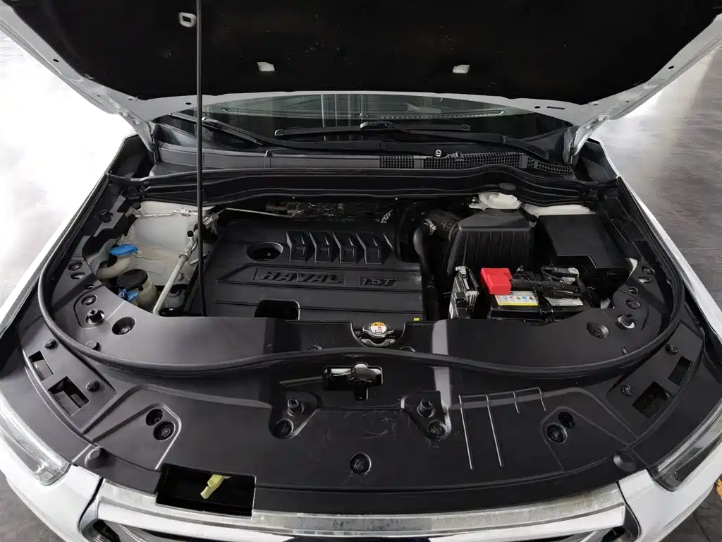 Haval H6 2019 Sport 1.5T Manual 2WD Elite (China VI) фото 6