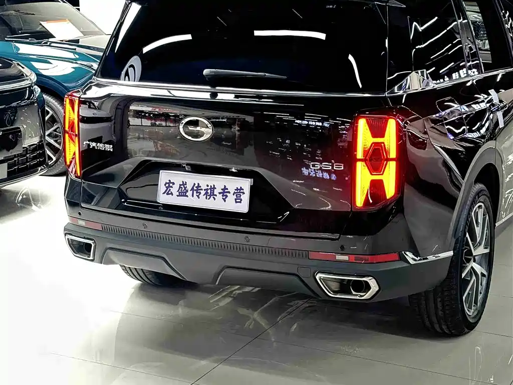 GAC Trumpchi Trumpchi GS8 2025 Pilot Series 2.0TGDI 2WD Luxury Edition 5-seater фото 35
