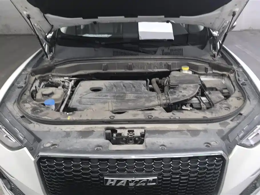 Haval F5 2020 1.5T DCT i-Type фото 10