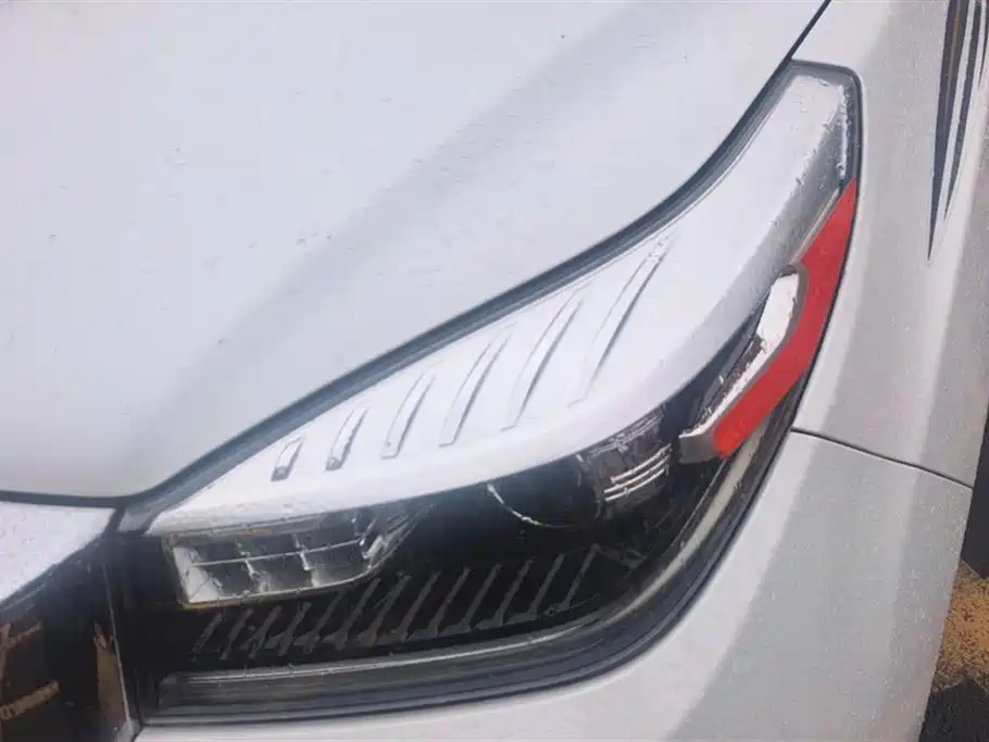 Haval H9 2020 2.0T Gasoline 4WD Premium 5-Seater фото 5