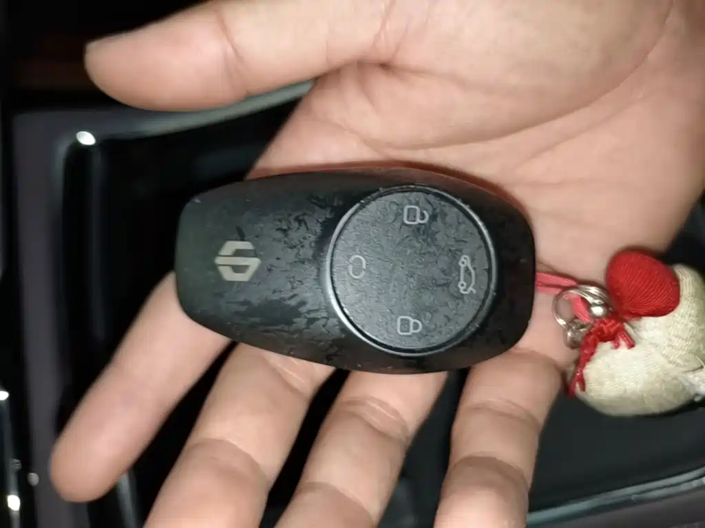 Leapmotor C11 2022 2021 Luxury Edition