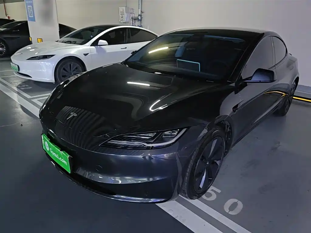 Tesla Model 3 2025 Model Rear-Wheel Drive Edition