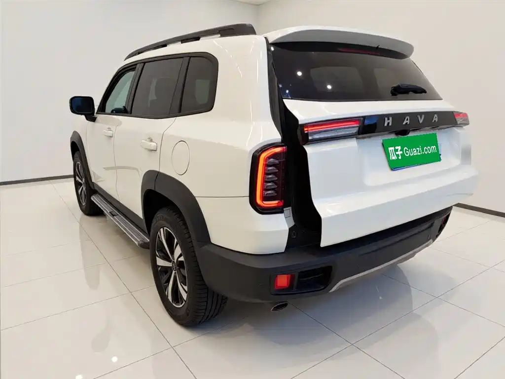 Haval Big Dog 2021 1.5T DCT 2WD Labrador Edition фото 5