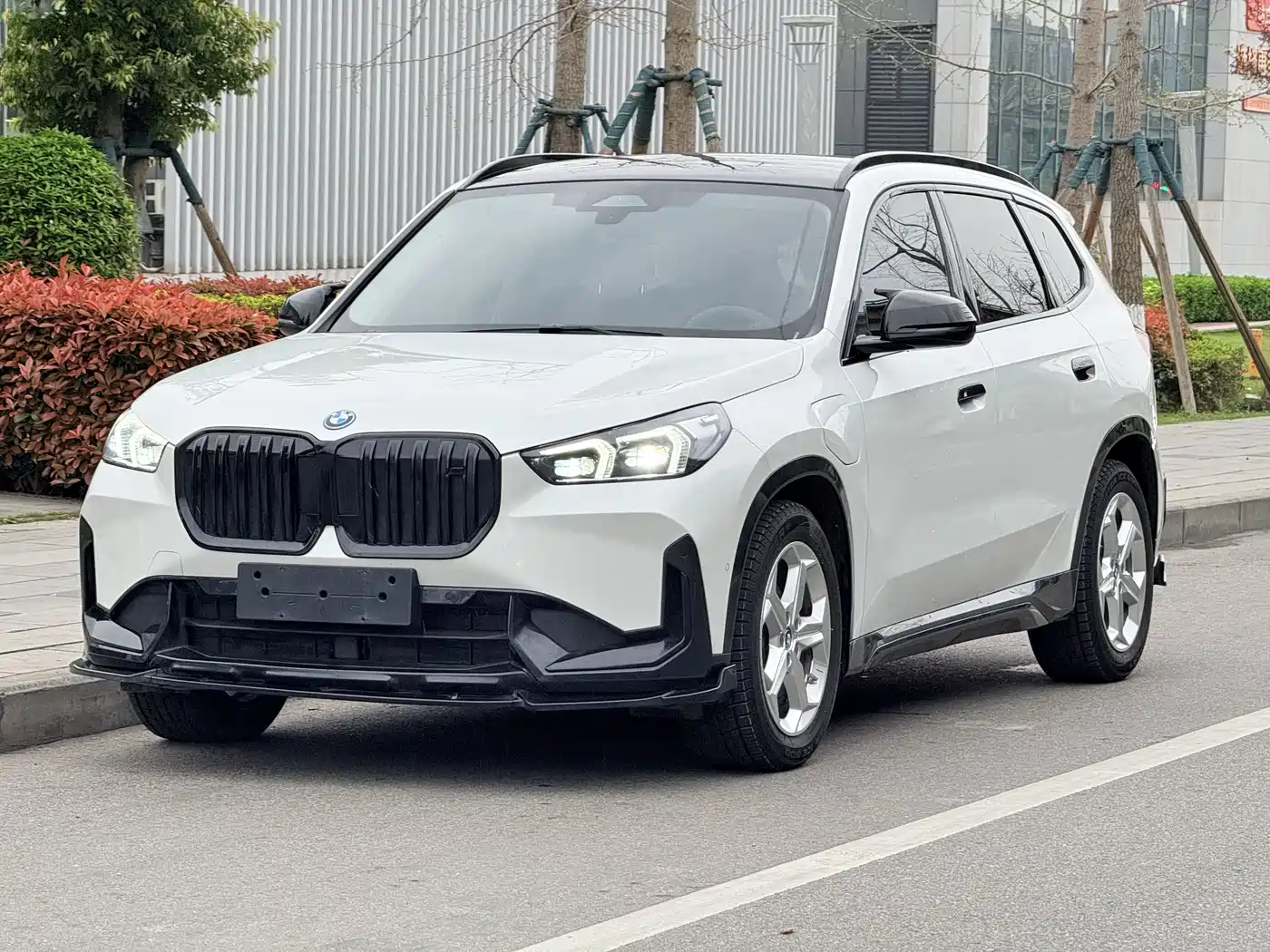 BMW IX1