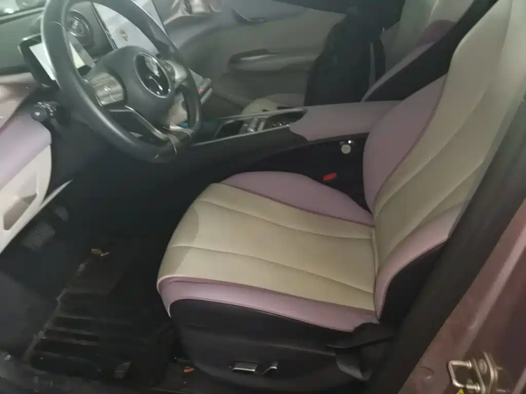 BYD Dolphin 2021 2021 Model 405km Fashion Edition