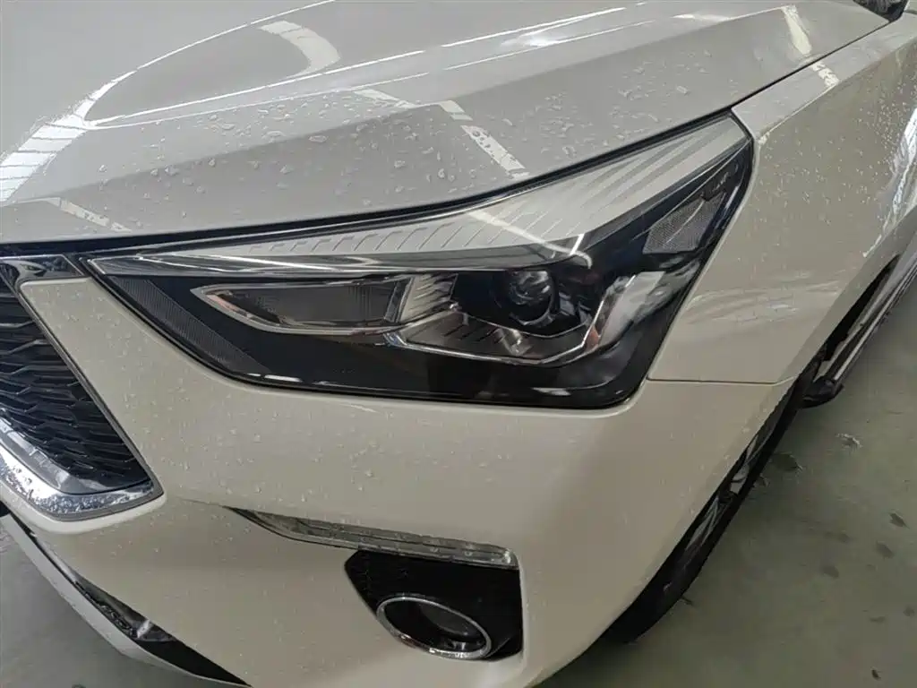 Haval H6 Coupe 2019 1.5T Auto 2WD Elite Edition China VI фото 18