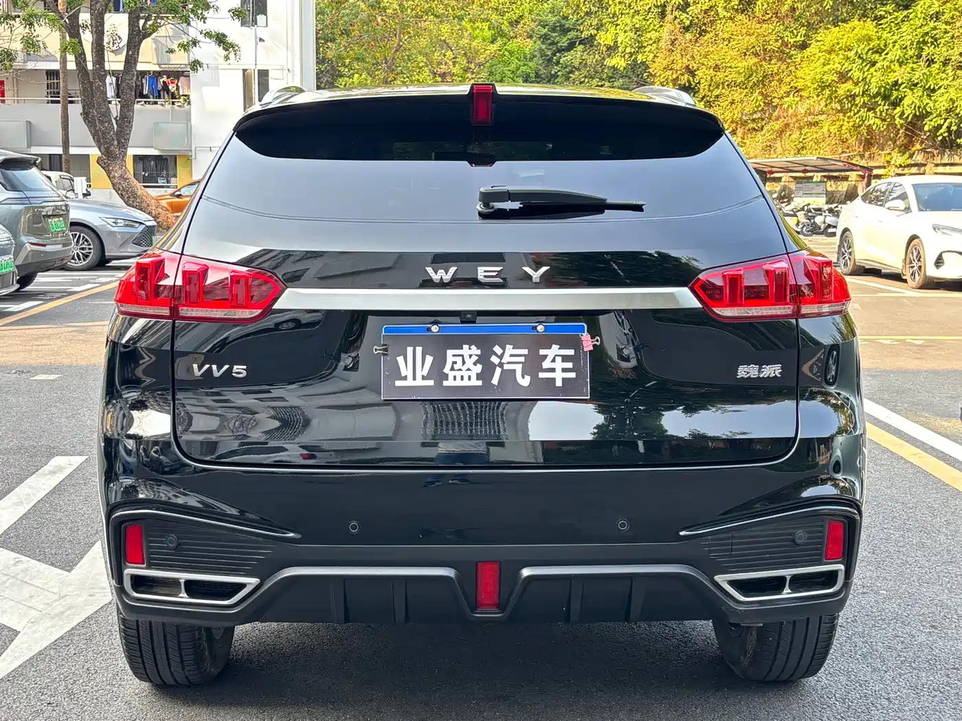 WEI PAI WEI BRAND VV5