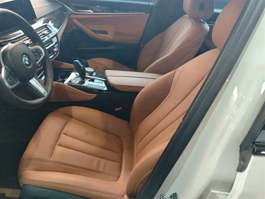 BMW 5 Series 2019 530Li Leading M Sport Package фото 11