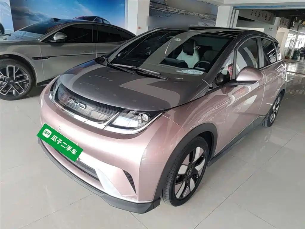 BYD Dolphin 2021 401km Knight Edition