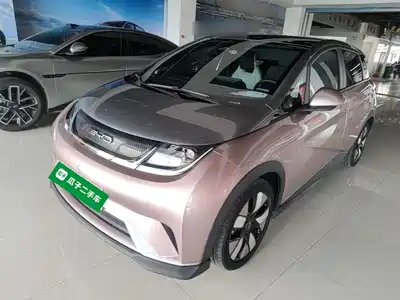 BYD Dolphin