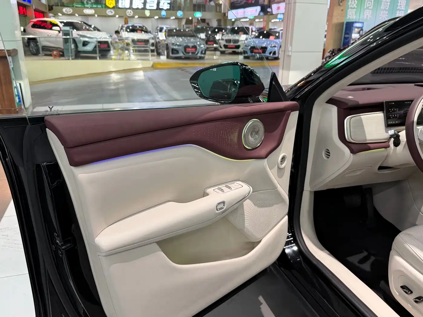 Voyah Auto Voyah Zhiyin 2025 Base фото 9