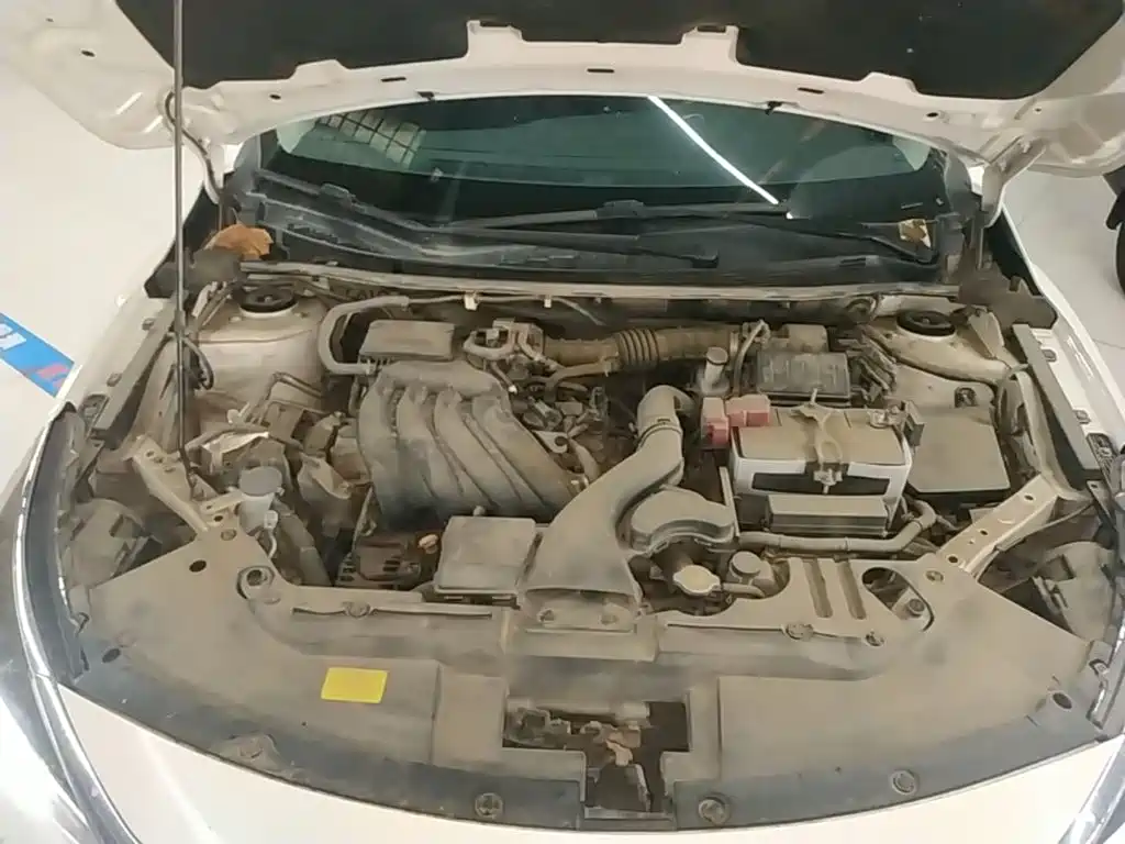 Venucia D60 2021 2020 1.6L XE CVT Premium Edition