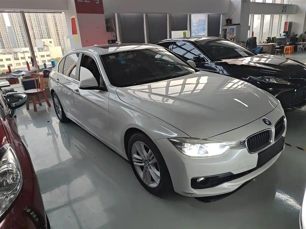 BMW 3 Series 2016 320Li Progressive фото 22