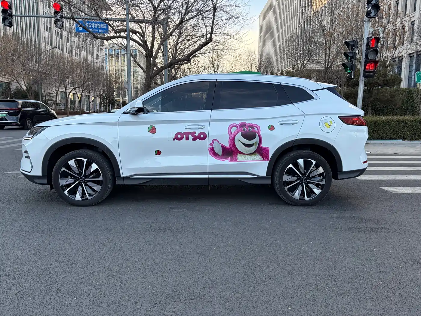 BYD SONGJIANG NEW ENERGY