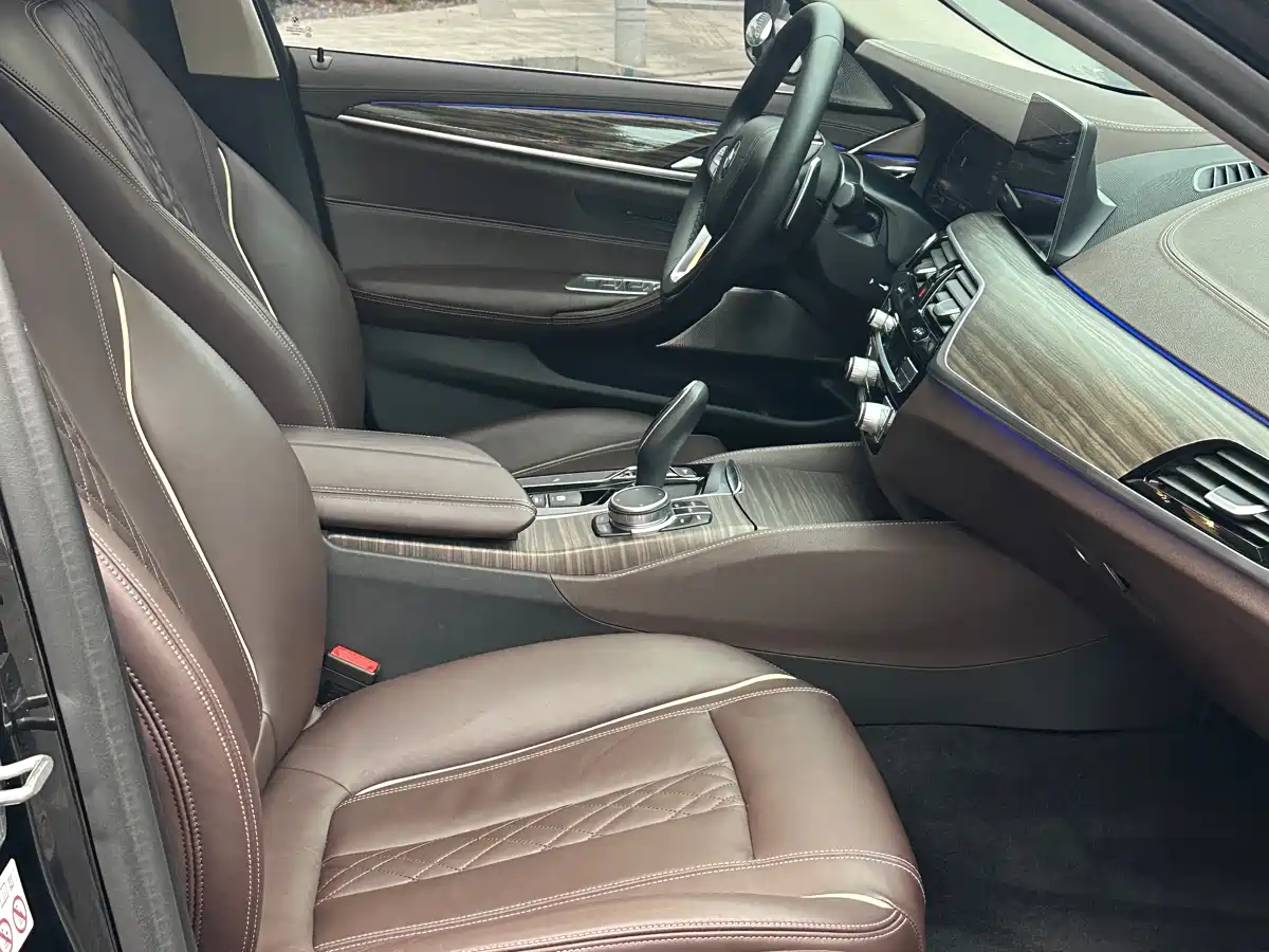 BMW 5 Series 2020 530Li Leading Luxury Package фото 15