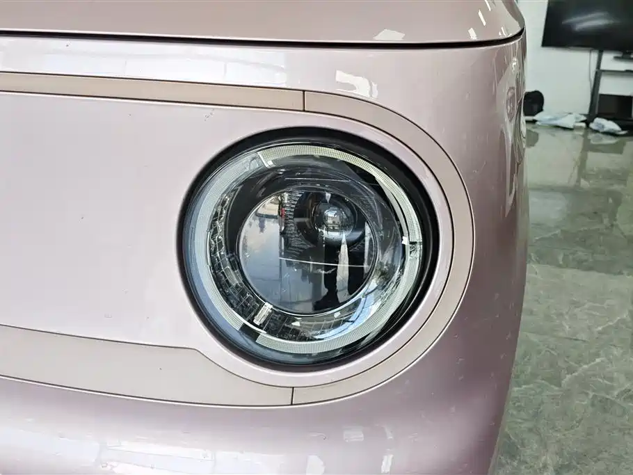Geely Galaxy Panda 2023 Panda Mini 200km Endurance Bear фото 5